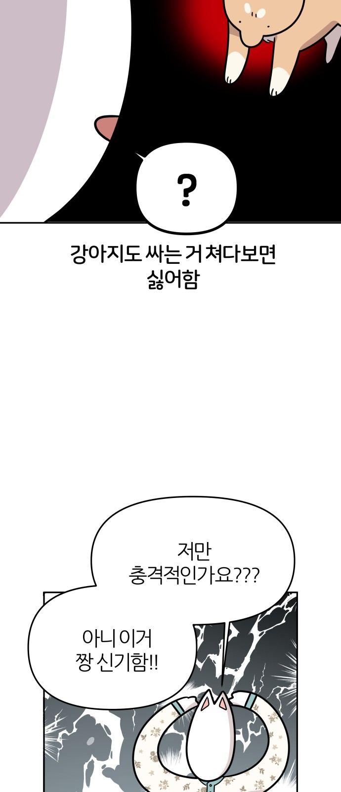 45 페이지