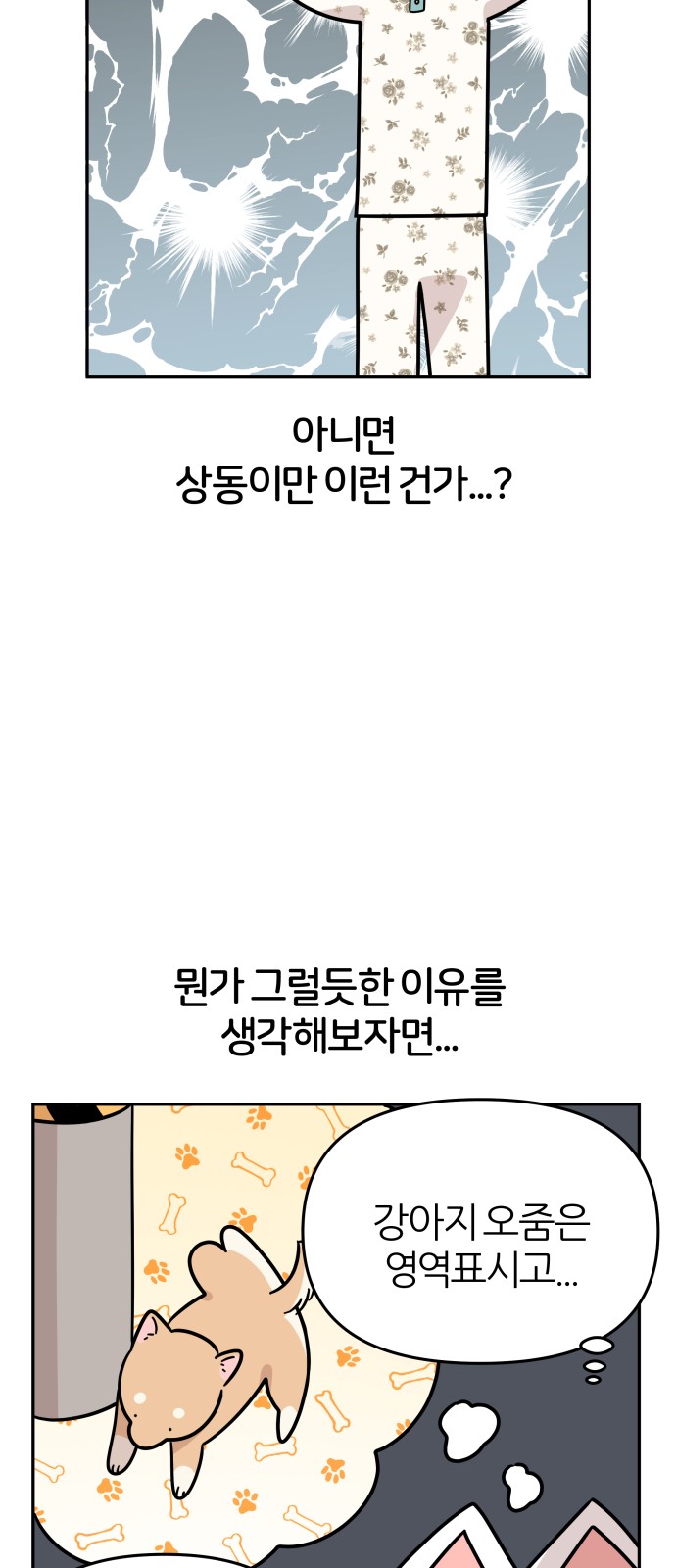 46 페이지