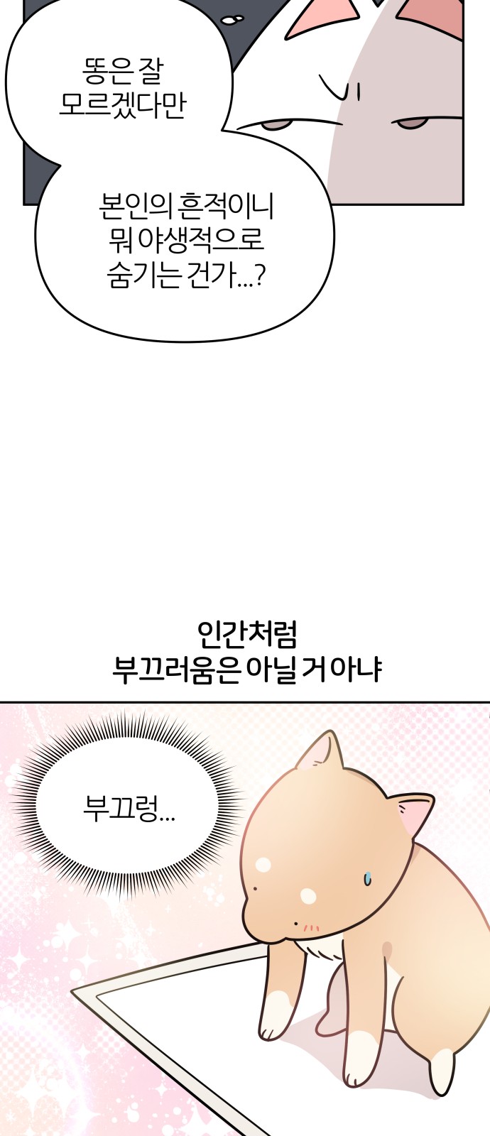 47 페이지