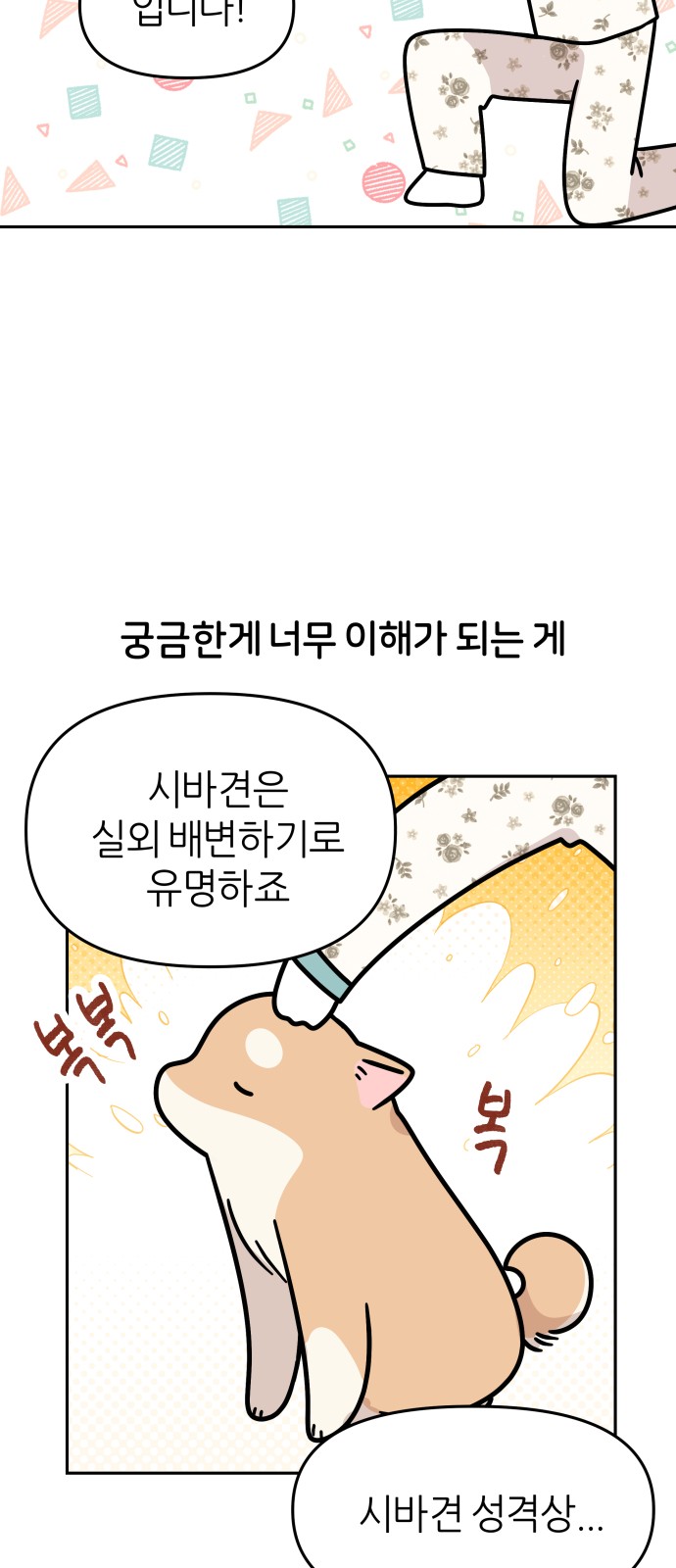 6 페이지