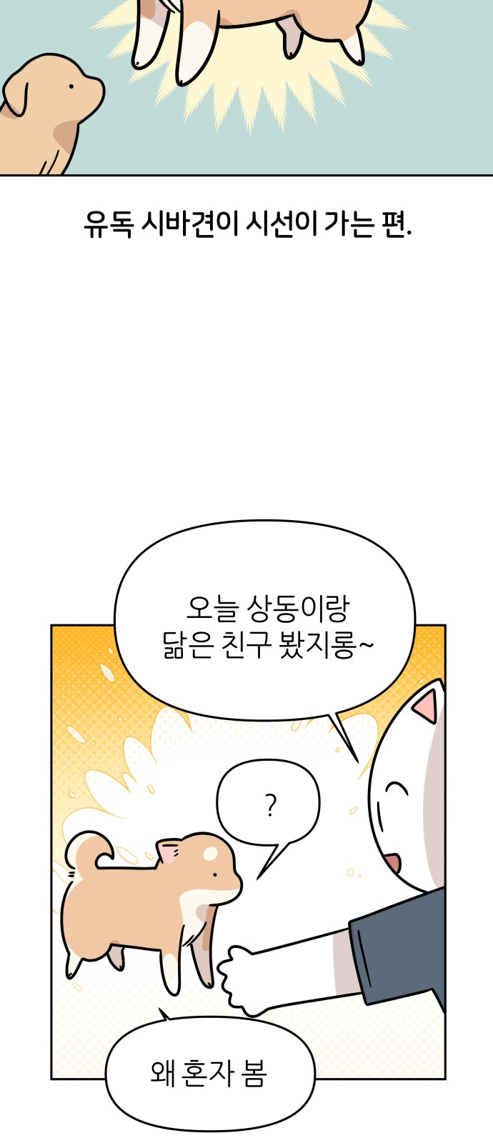 15 페이지