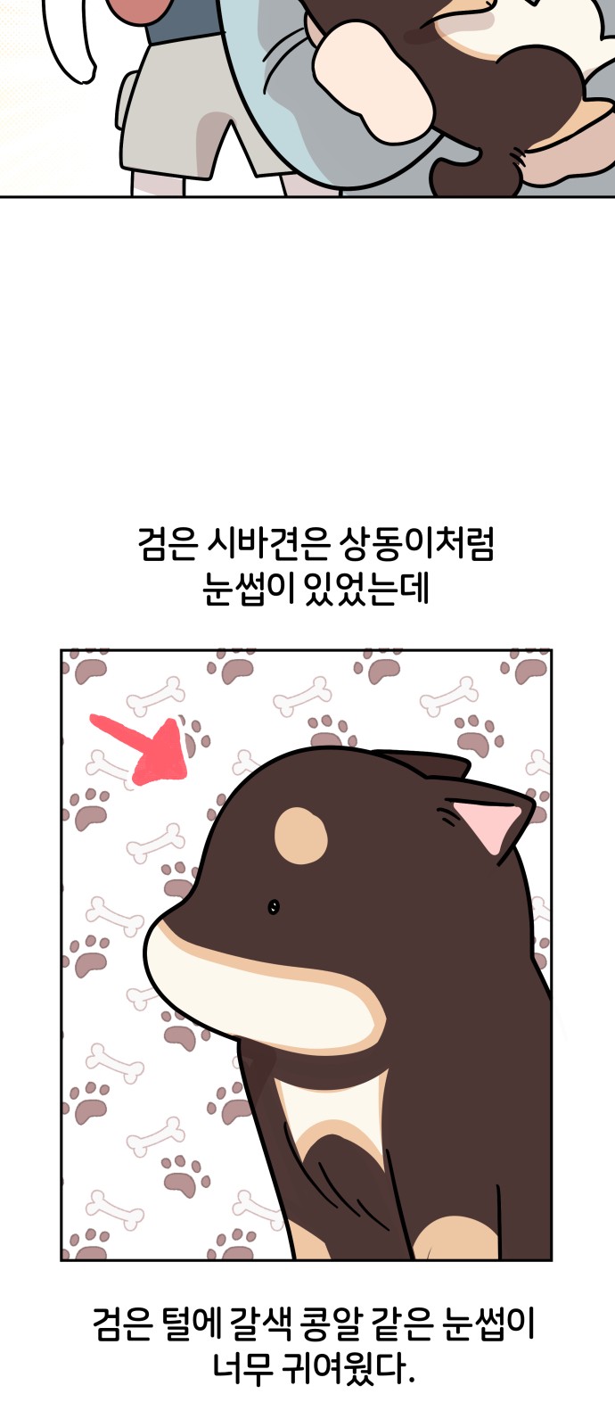 20 페이지