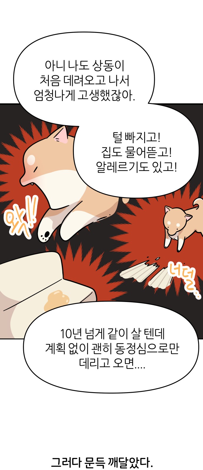 11 페이지