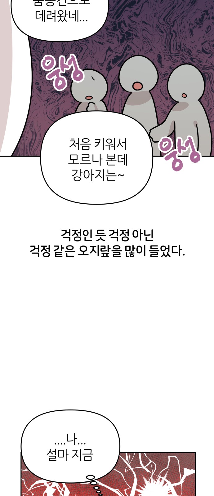 15 페이지