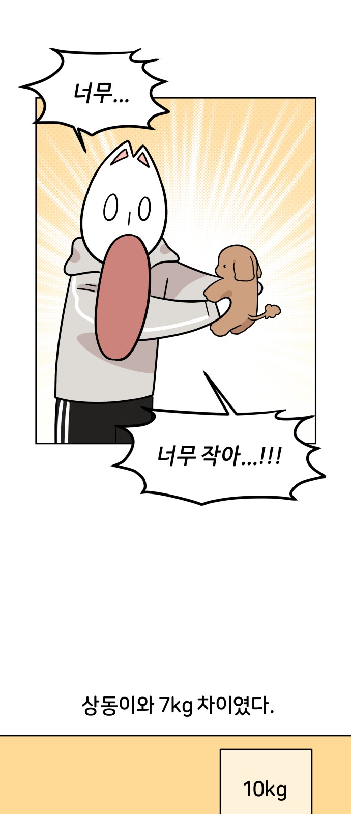 19 페이지