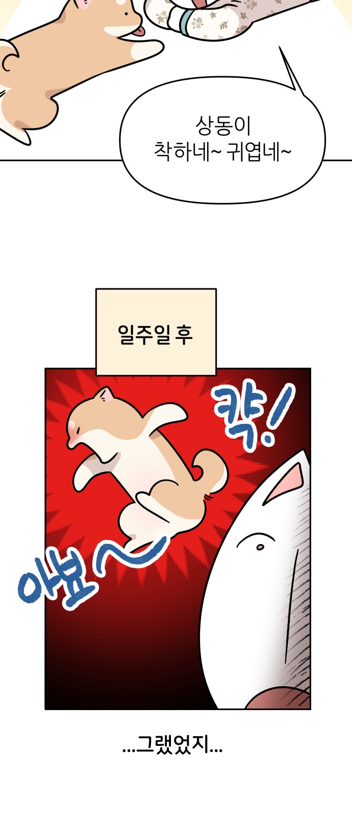 25 페이지