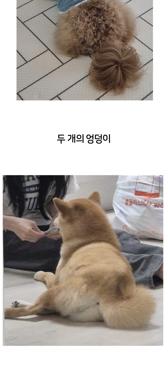 36 페이지