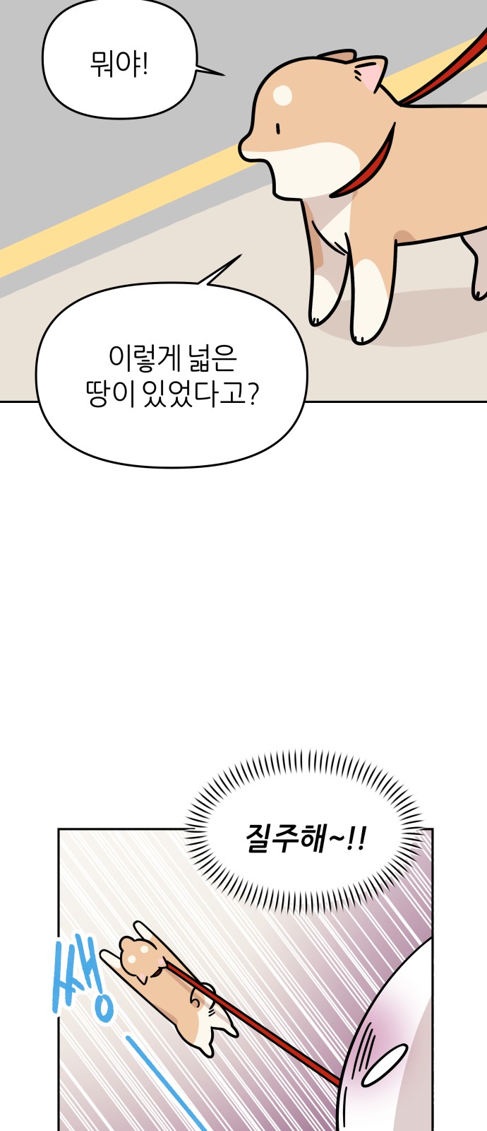 17 페이지