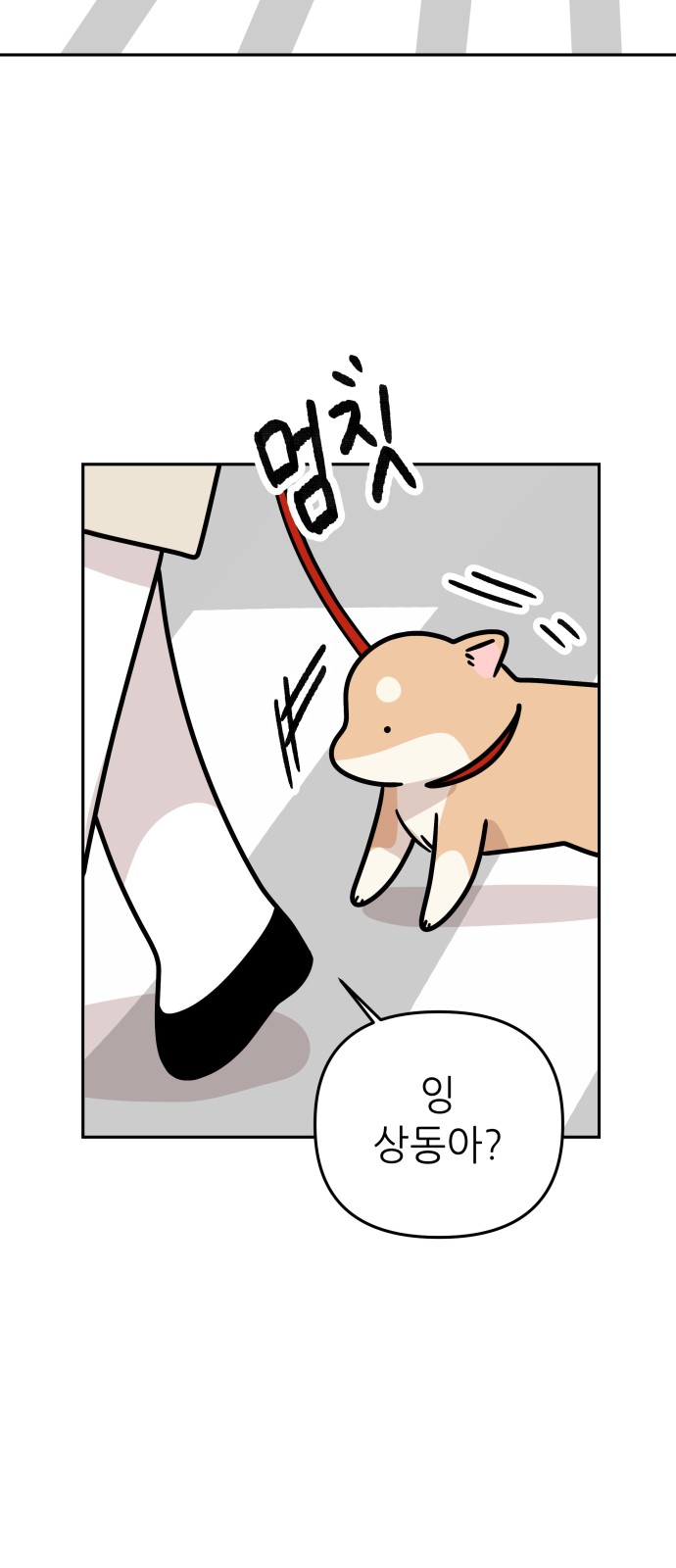 19 페이지