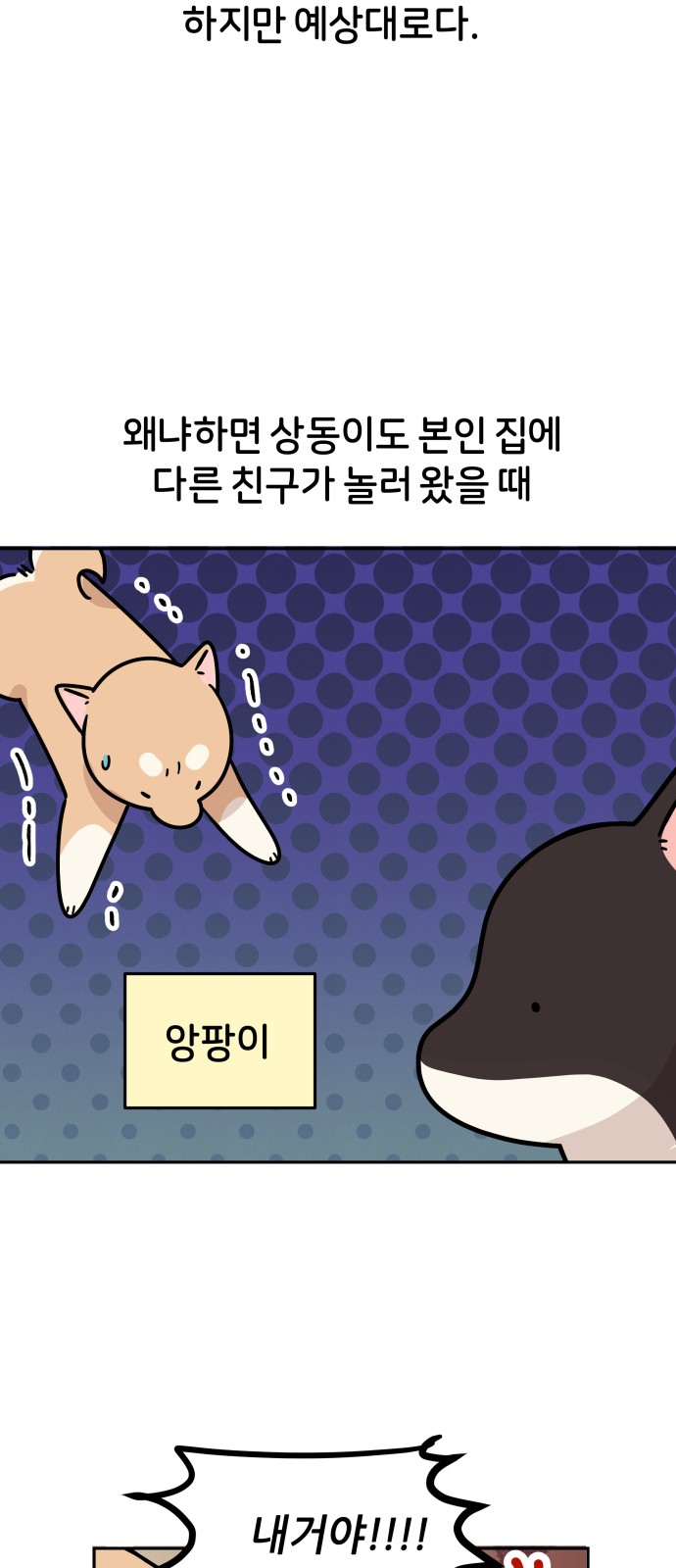 16 페이지