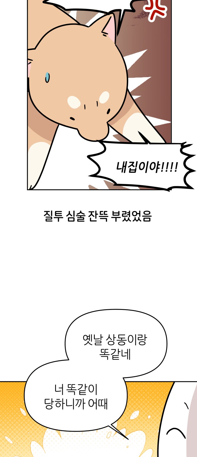17 페이지