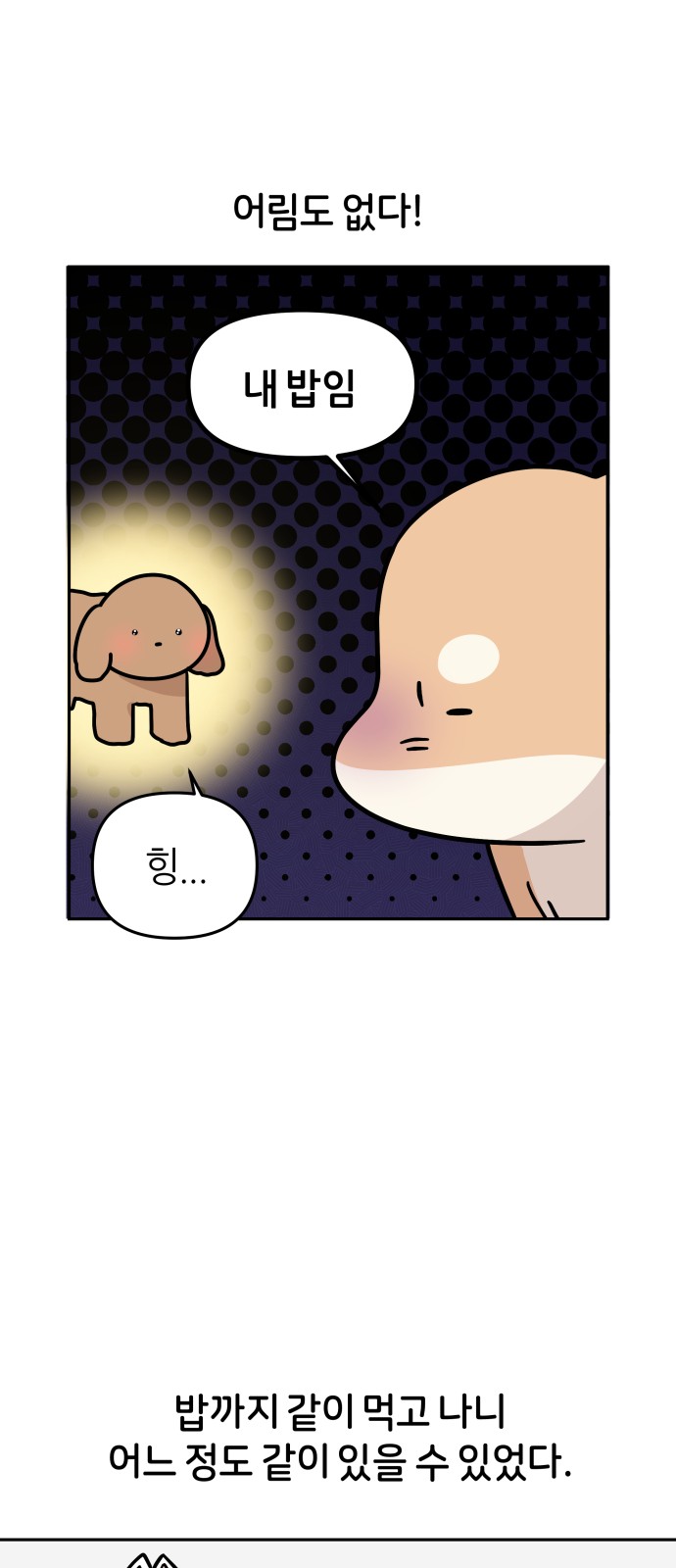 21 페이지