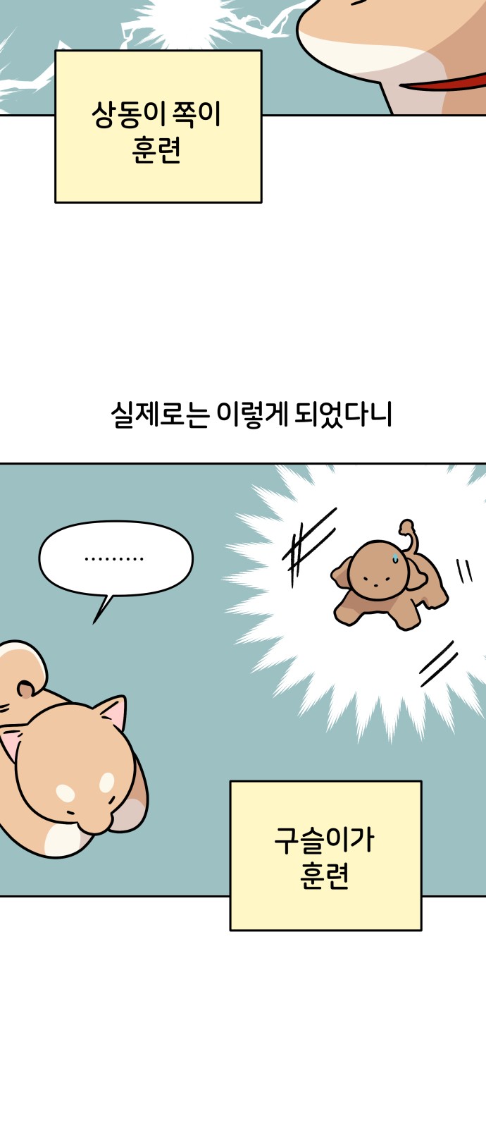 27 페이지