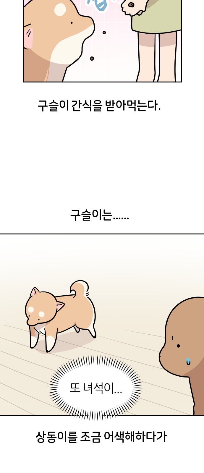 30 페이지