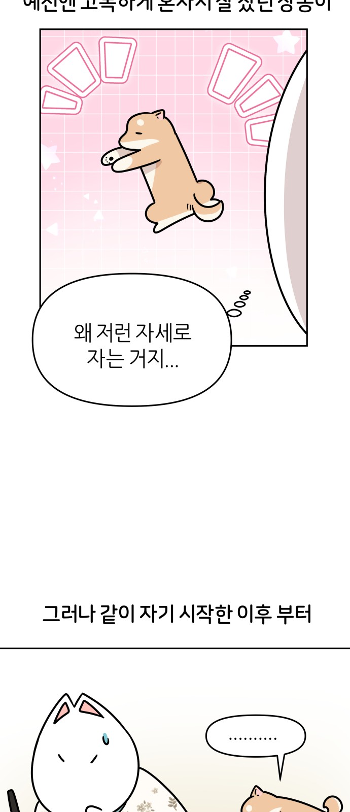20 페이지