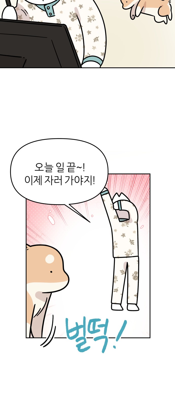21 페이지