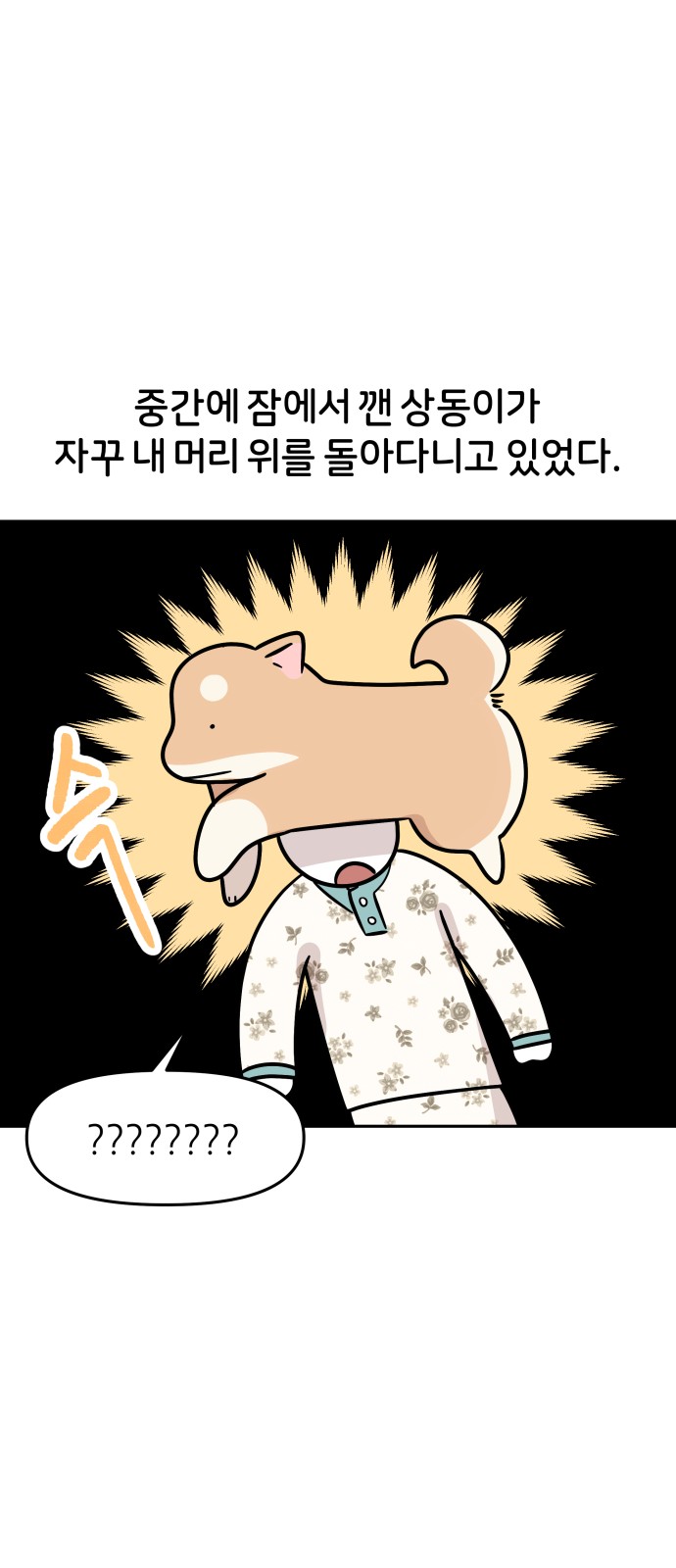 29 페이지