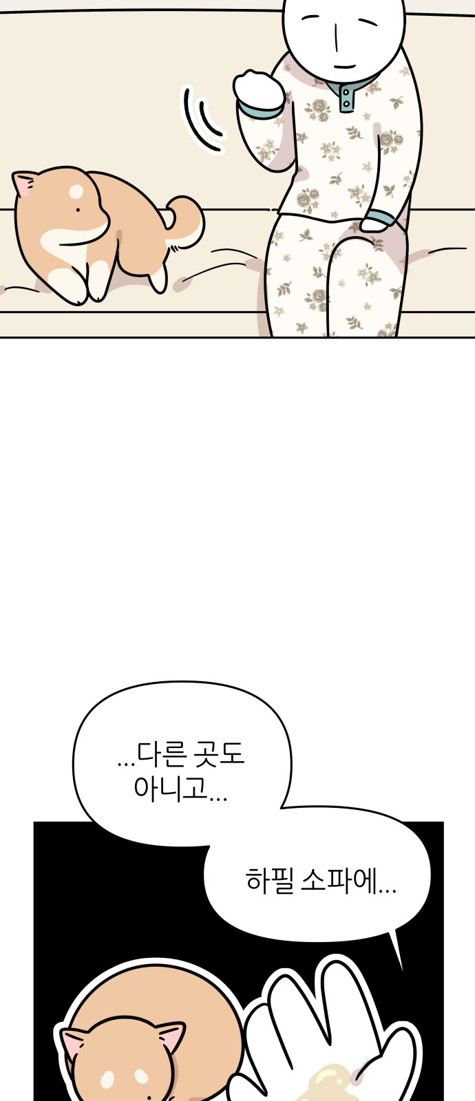 19 페이지