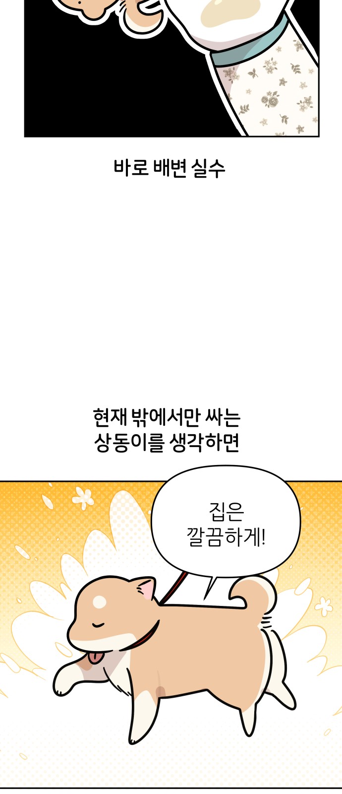 20 페이지