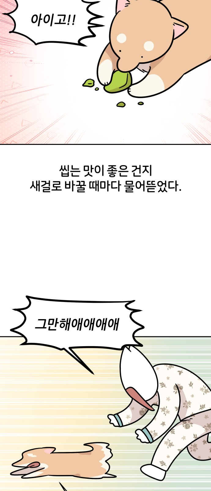 33 페이지