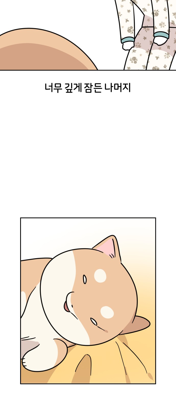 29 페이지