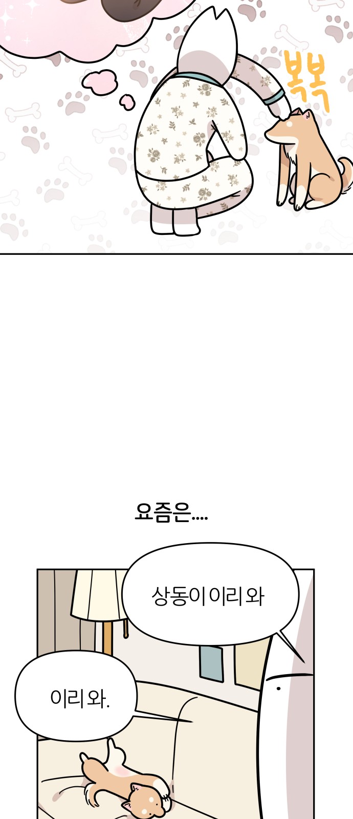 51 페이지