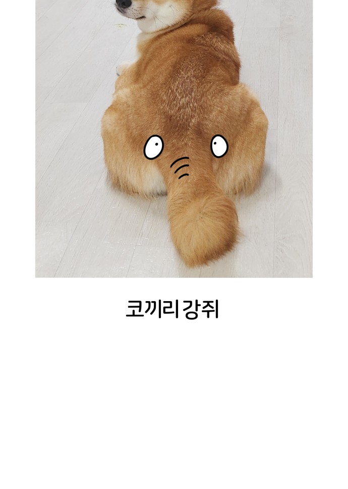 53 페이지