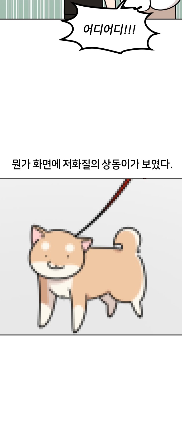 17 페이지