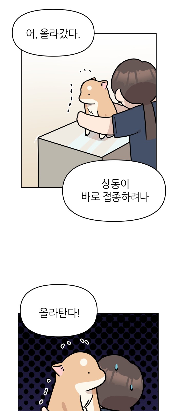 18 페이지
