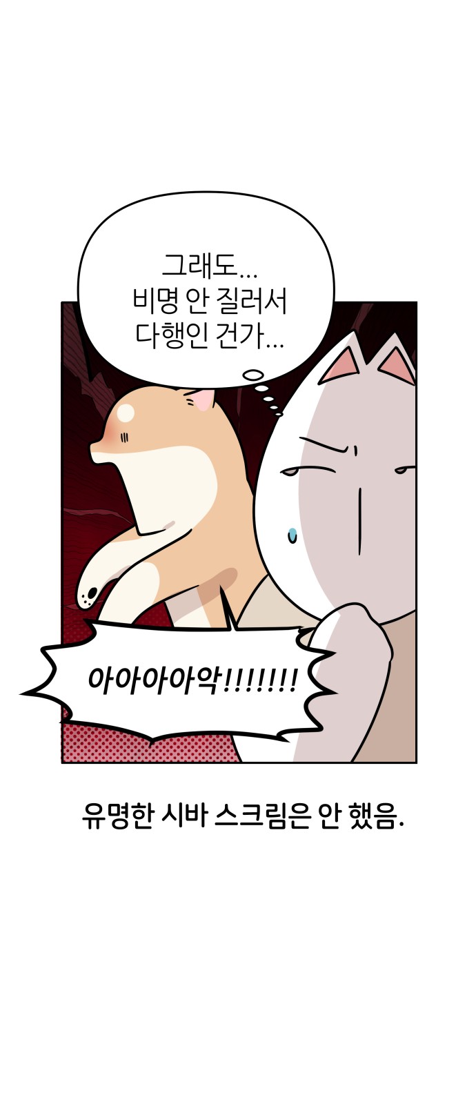 20 페이지