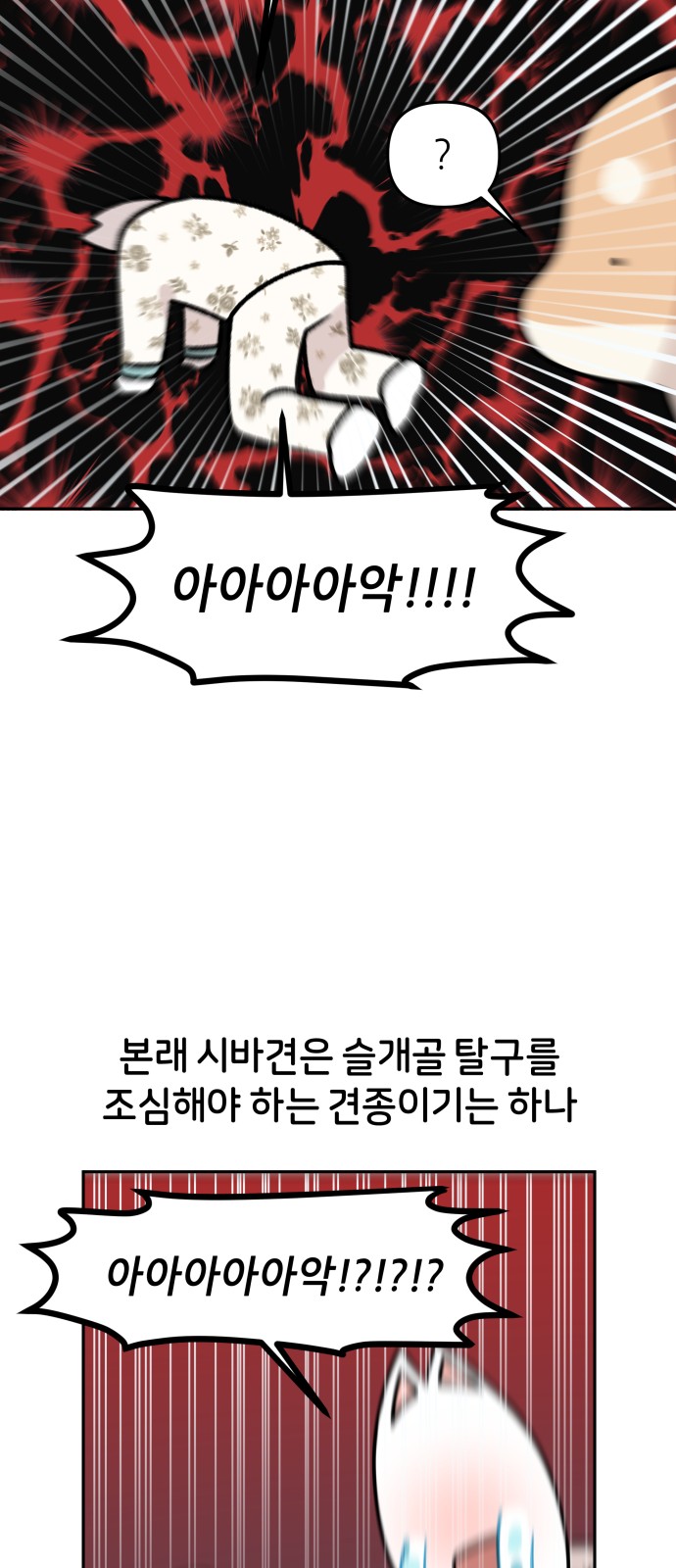 30 페이지