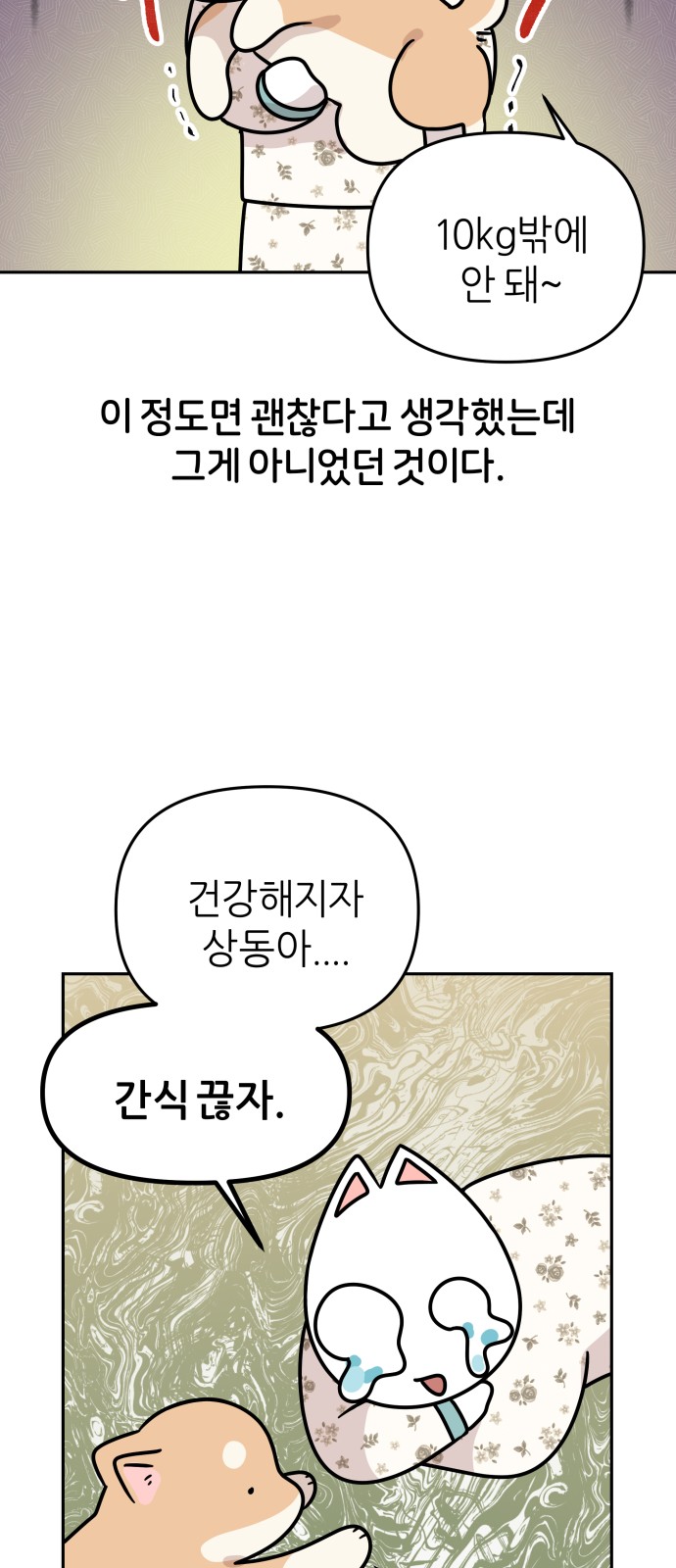 35 페이지