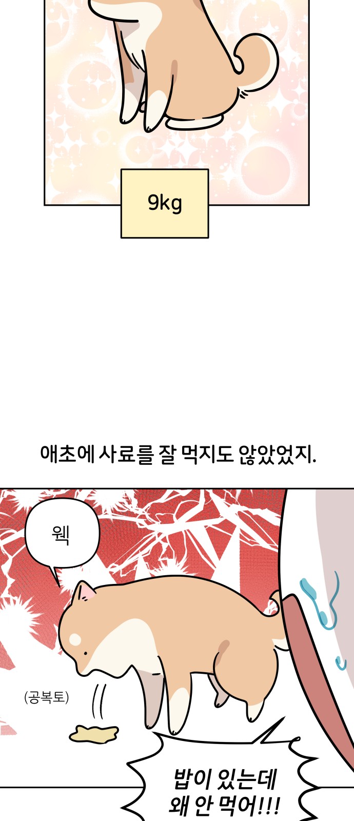 5 페이지