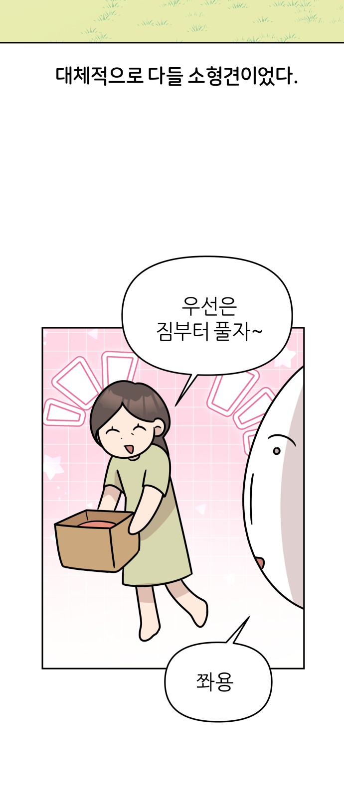 11 페이지
