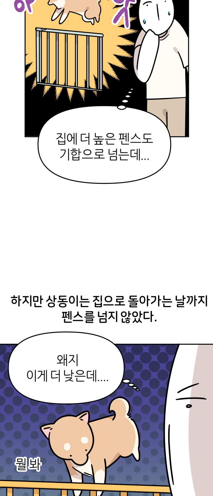 14 페이지