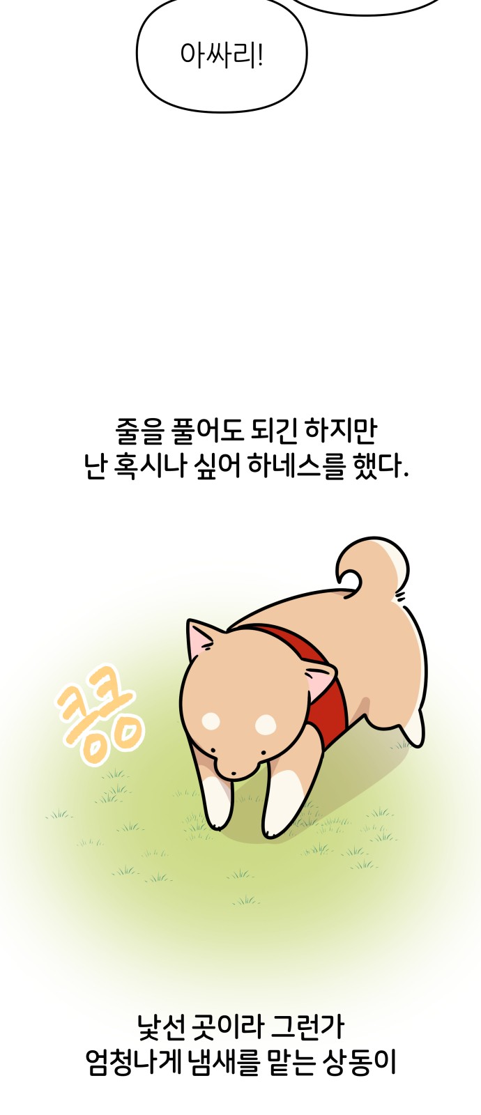 16 페이지