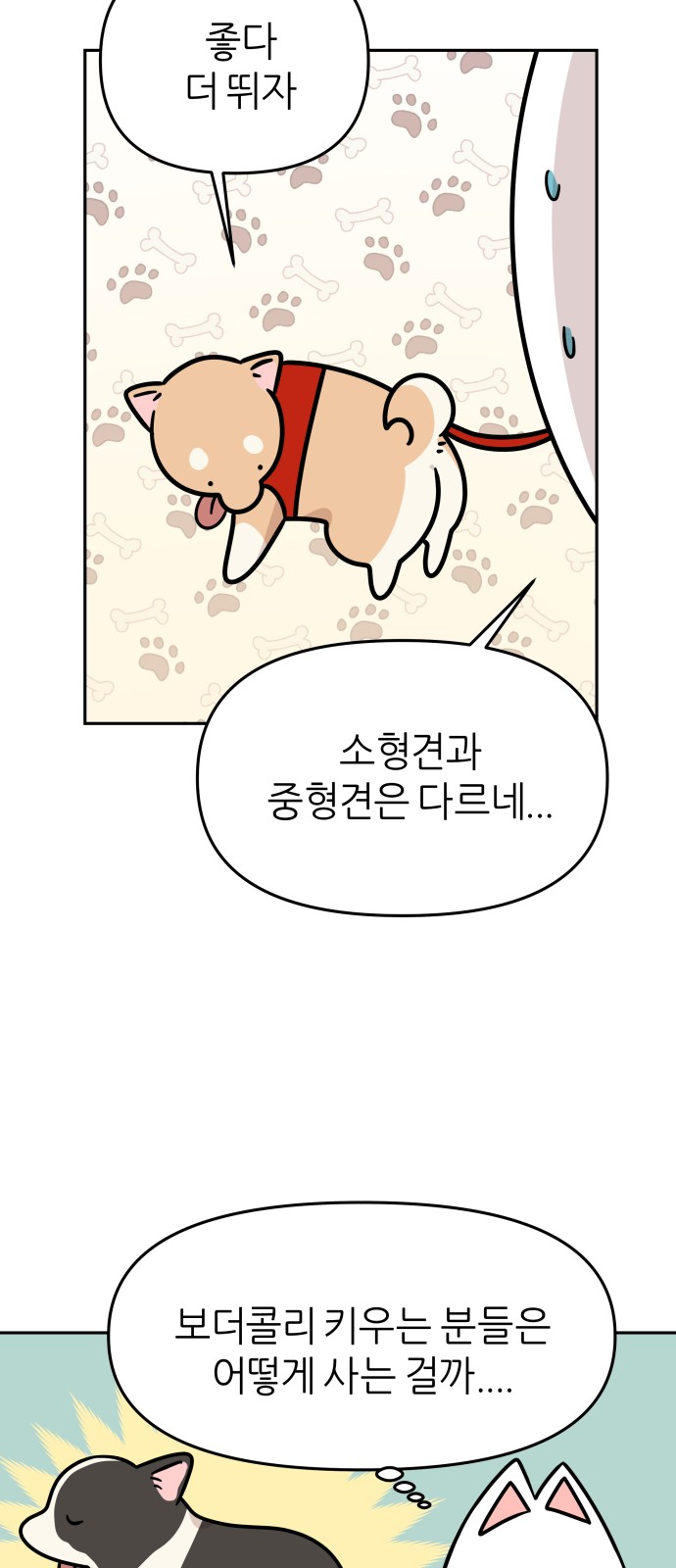 19 페이지