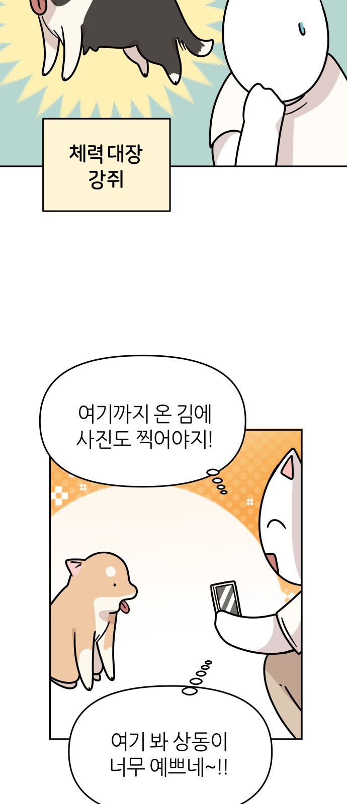 20 페이지