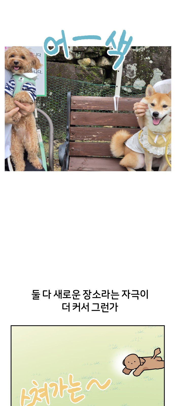 22 페이지