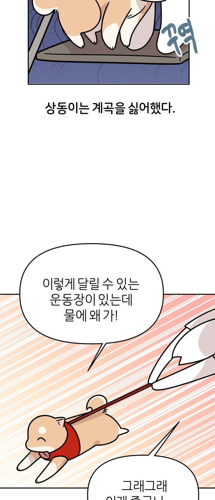27 페이지