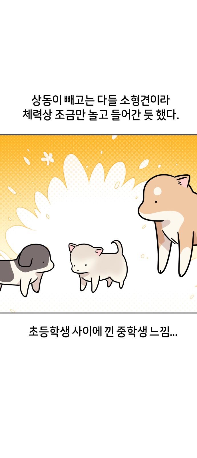 29 페이지