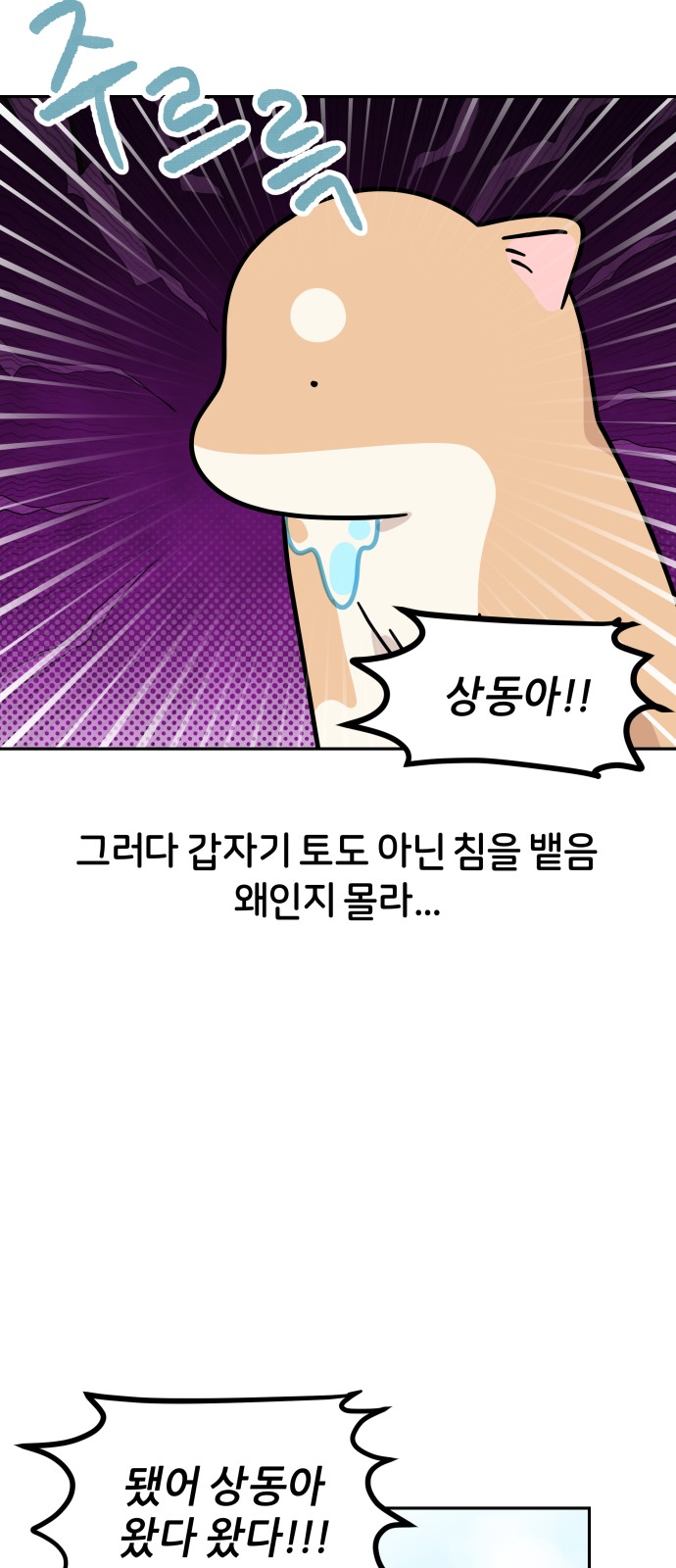 9 페이지
