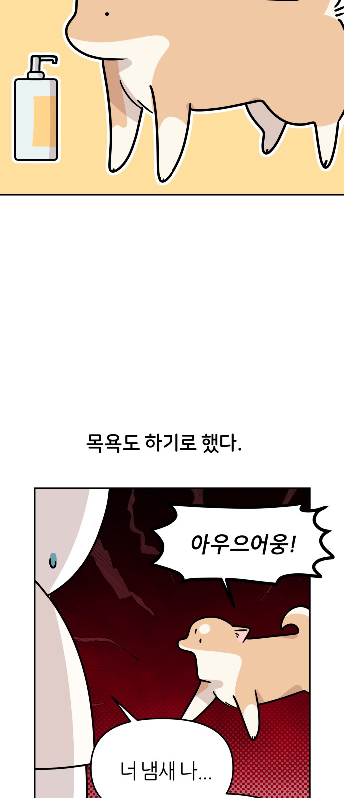21 페이지