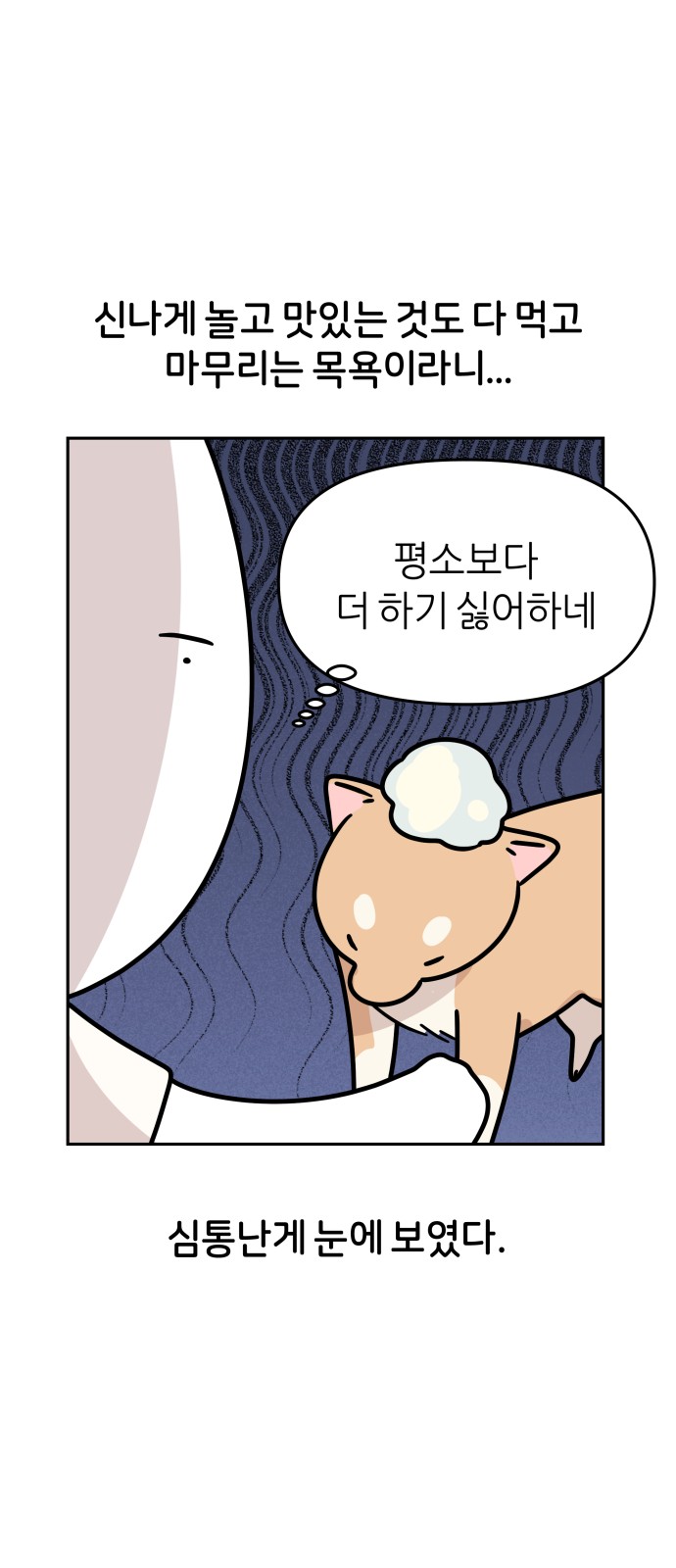 23 페이지