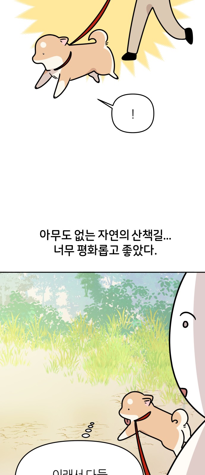 31 페이지