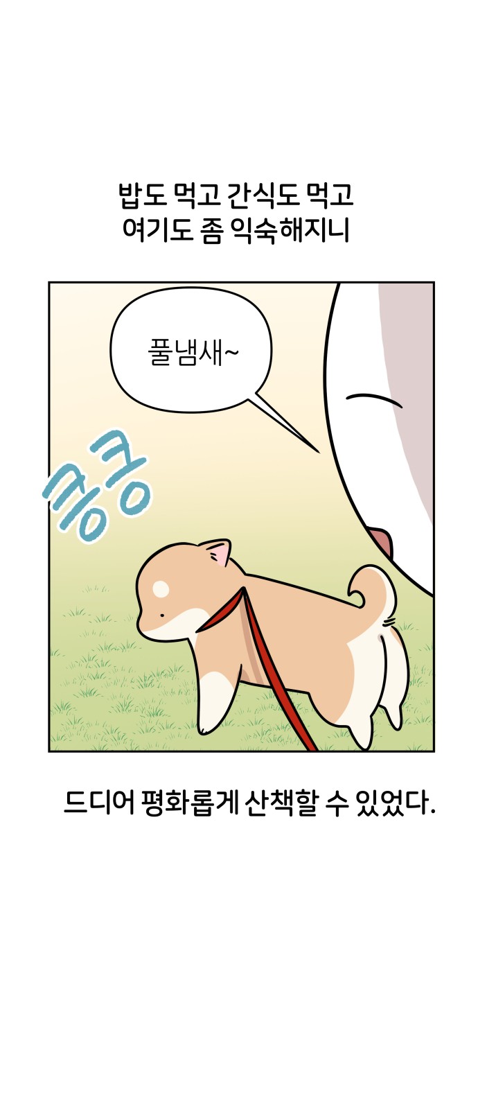 6 페이지