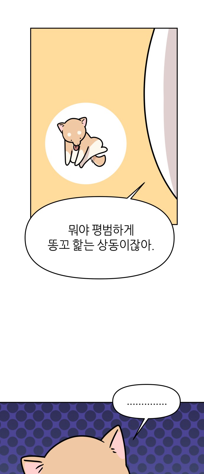 11 페이지