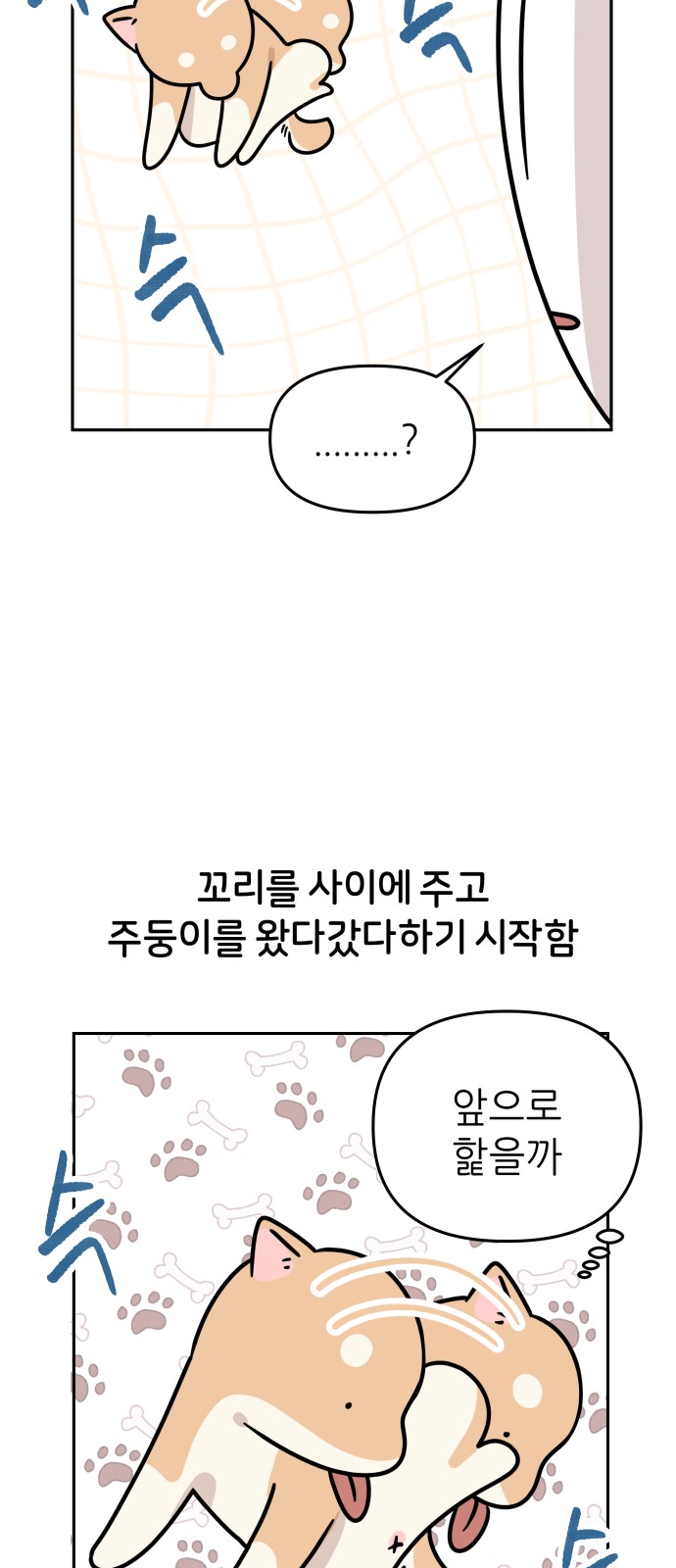 14 페이지