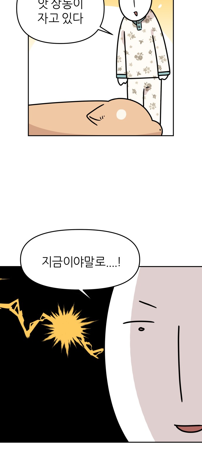 20 페이지