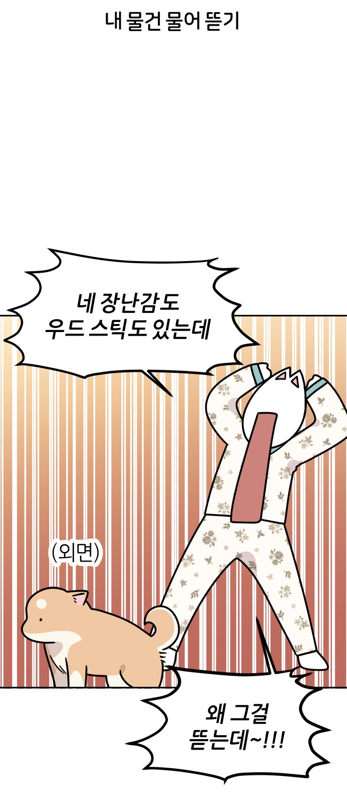 11 페이지